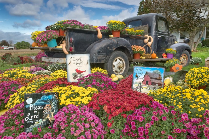 Special Deliveryphoto preview