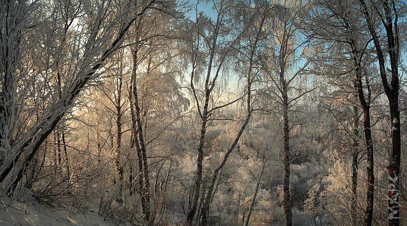 пейзаж  утро зима иней декабрь Декабрьphoto preview