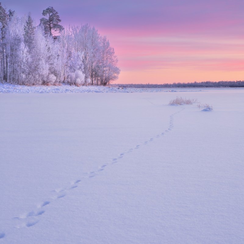 Crimson sunsetphoto preview