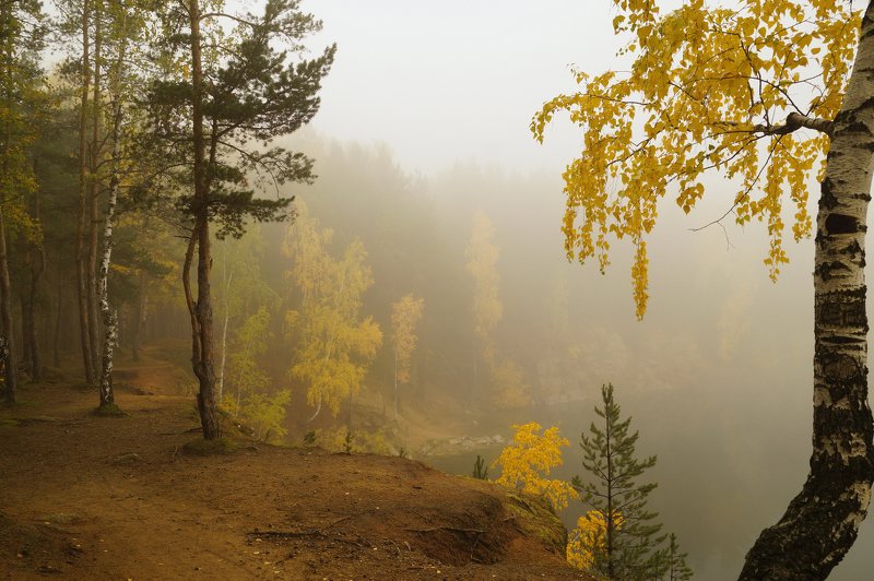 пейзаж,туман,октябрь,лес Утроphoto preview