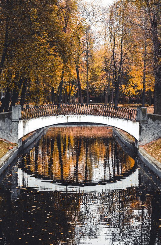 autumn, fall, yellow, refliction, architecture, park, nature, river, water, Moscow, Russia Отражение осениphoto preview