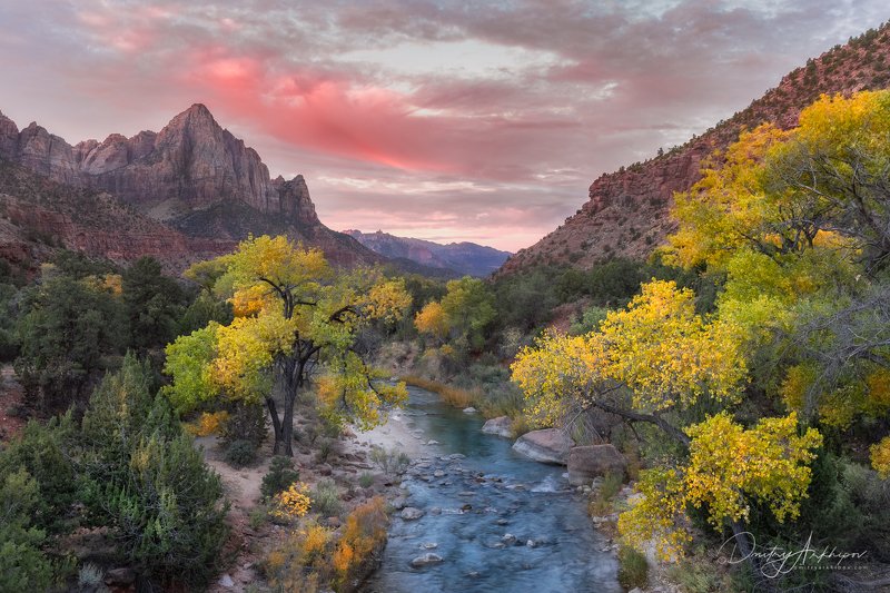 Зайон. Ноябрь 2020photo preview