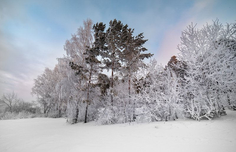 Зимний лесphoto preview