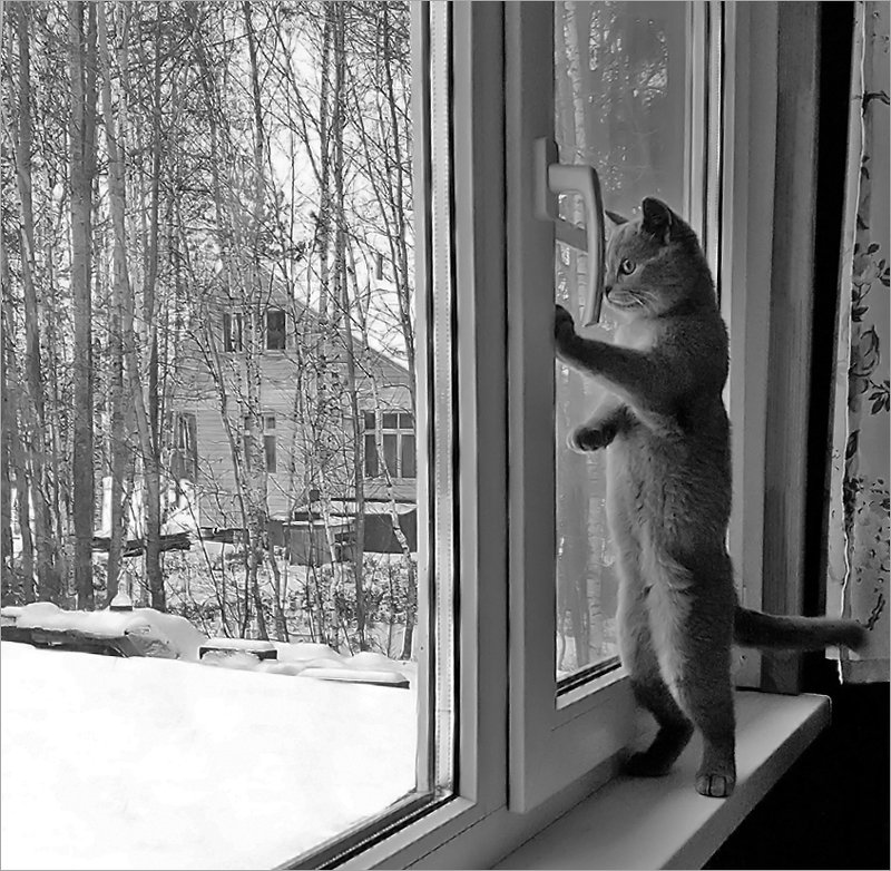 Первая зимаphoto preview