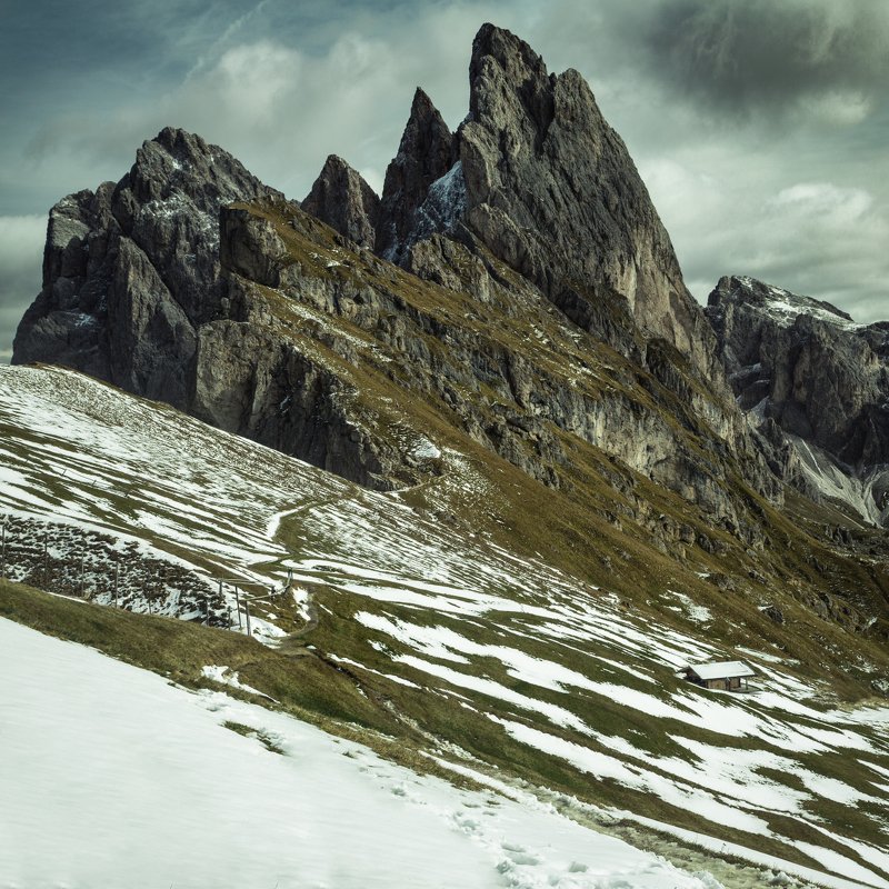 снег; горы; лес; альпы; италия Жизнь на склонеphoto preview