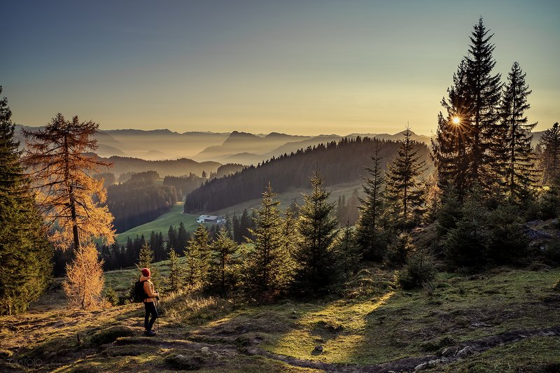 В осеннем светеphoto preview