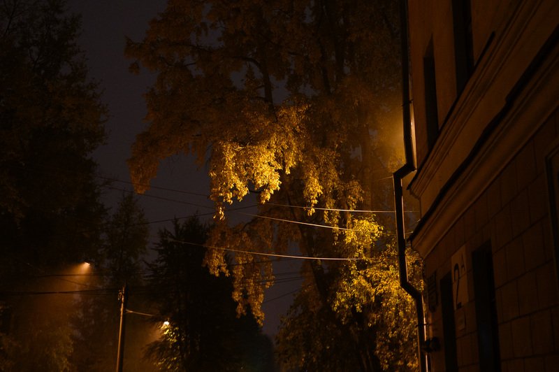 северодвинск, осень, ночь, Жёлтые листьяphoto preview