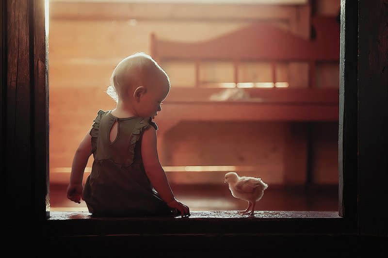 Два цыпленкаphoto preview