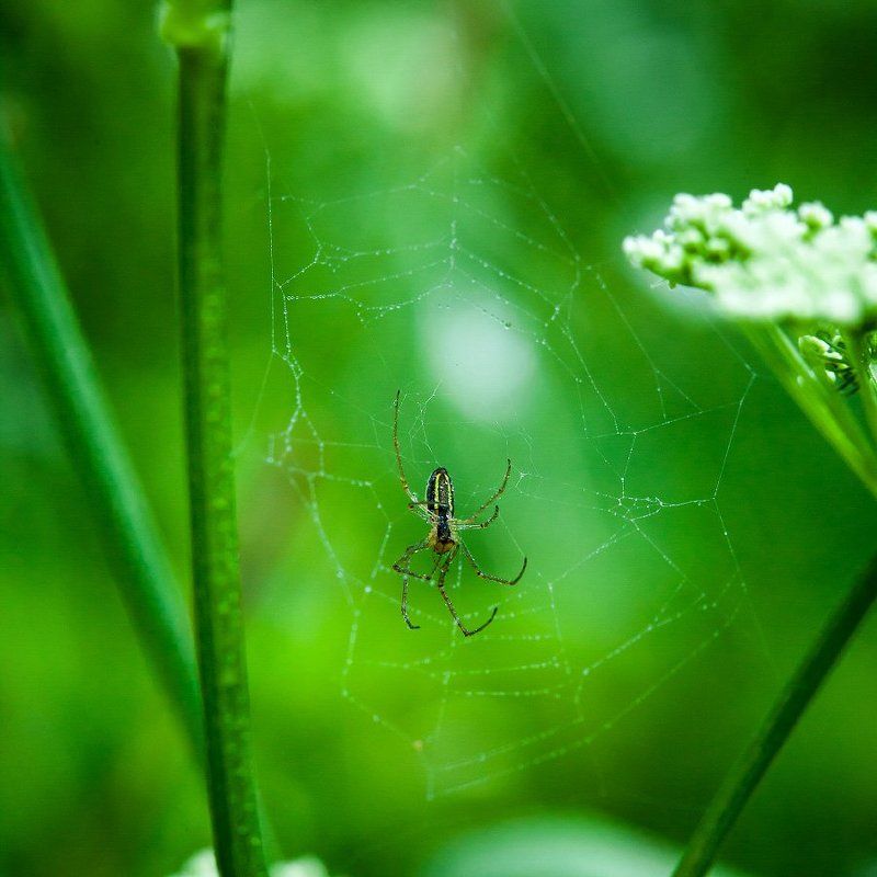 The Emptyphoto preview