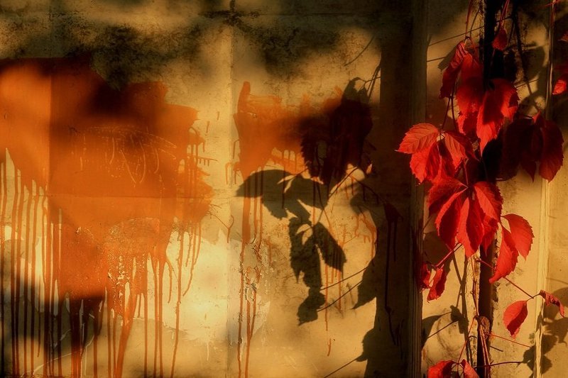 Теплая осеньphoto preview