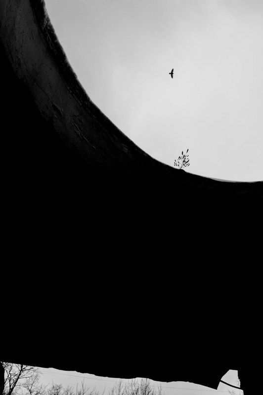 Две судьбыphoto preview