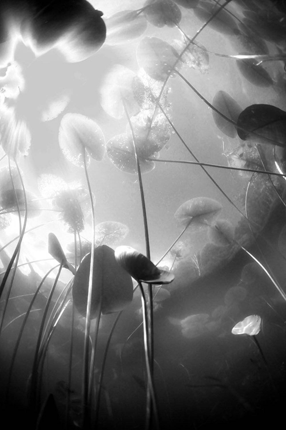 , Эдуард VTORNIK  Николаев