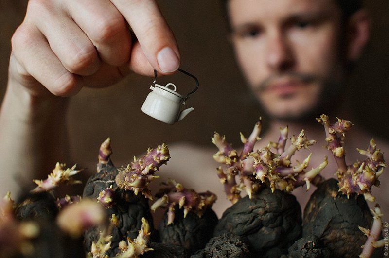 автопортрет №217photo preview