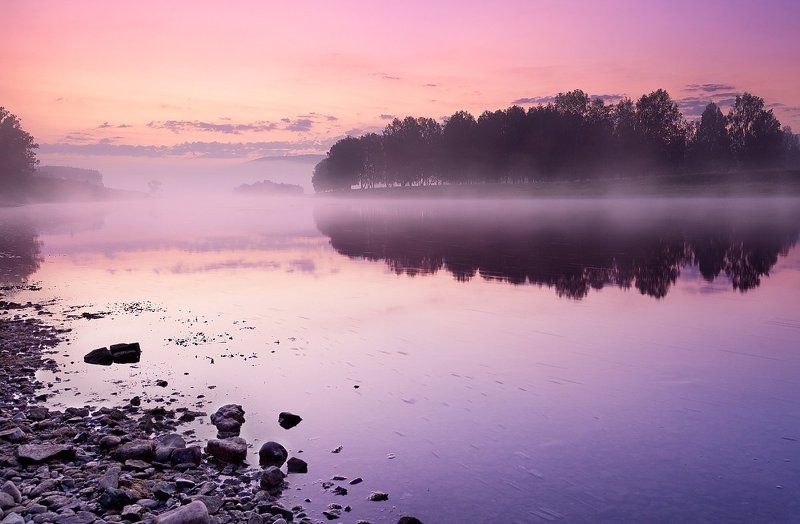 Портфолиоphoto preview