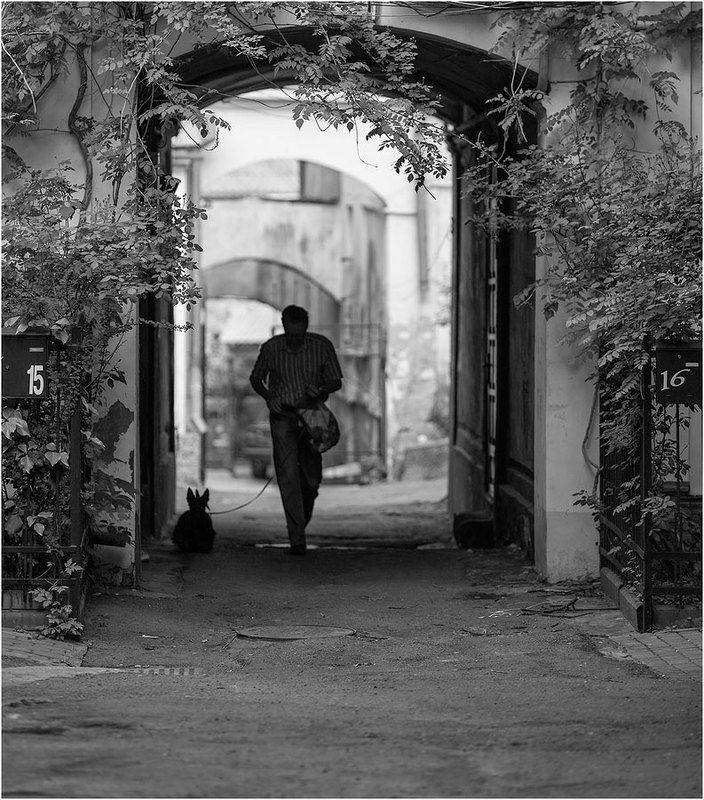 Фотоphoto preview