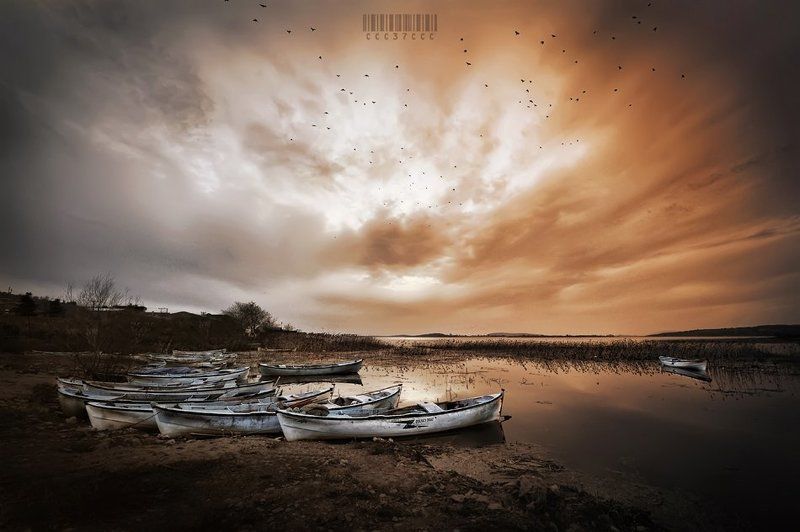 G?lyaz? * Elveda .... *photo preview