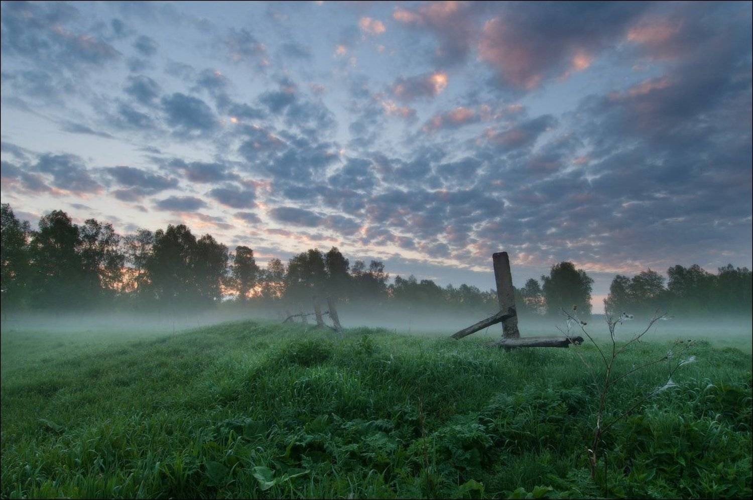 Тихим утром. Автор: Евгений Мартов , Евгений Мартов