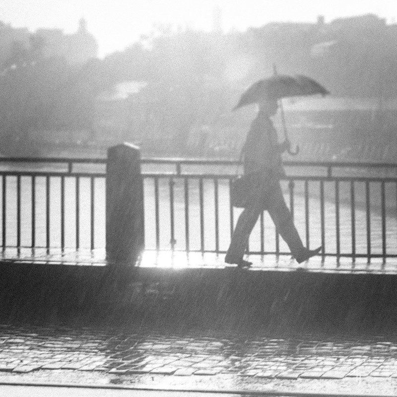 loneliness is...photo preview