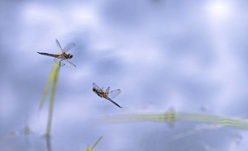 В своей любви, как в невесомостиphoto preview