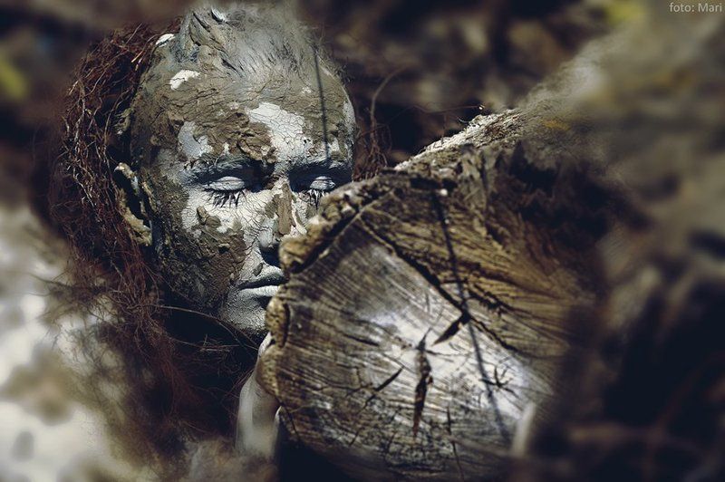 лешийphoto preview