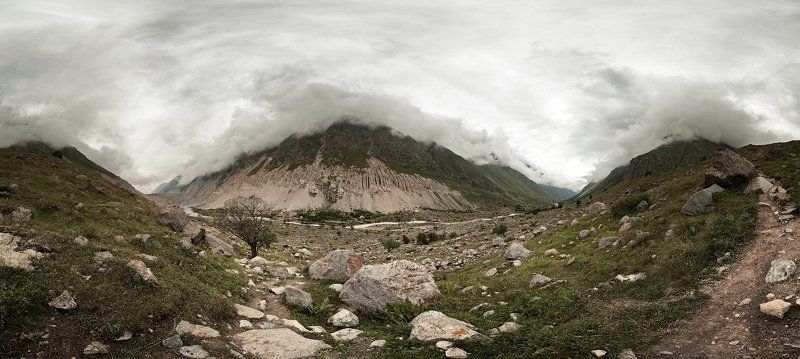 *  *  *photo preview