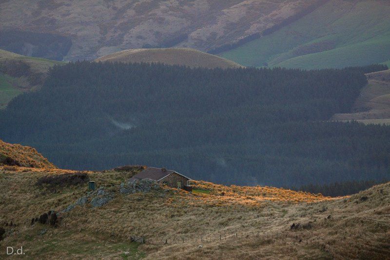 new zealand, hut, highlands, hill, dusk, Packhorse hutphoto preview