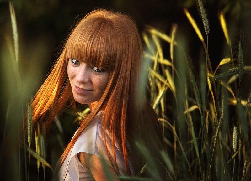 Sunny dayphoto preview