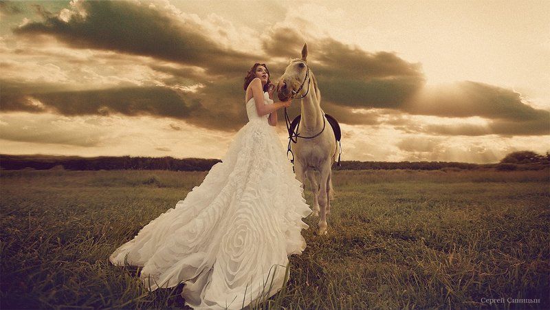 Лошадкаphoto preview