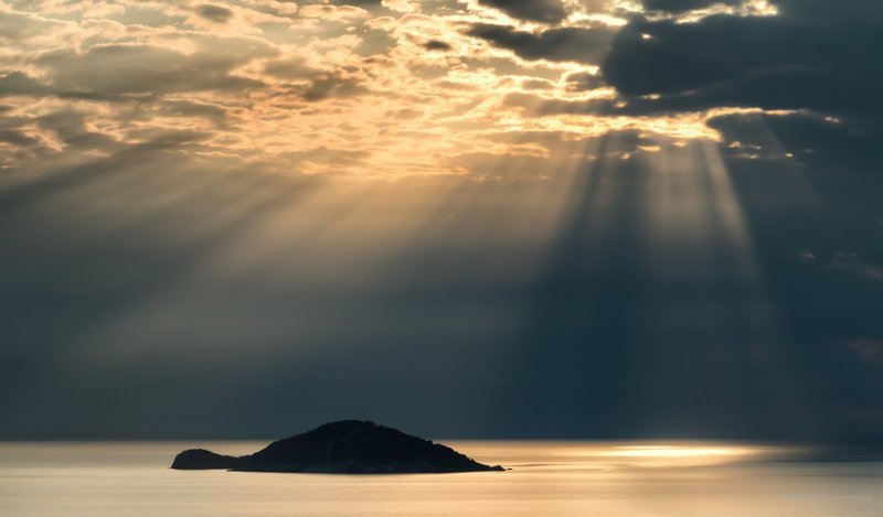 Тортилла и заяцphoto preview