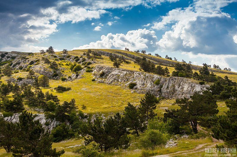 Ландшафт Ай-Петриphoto preview