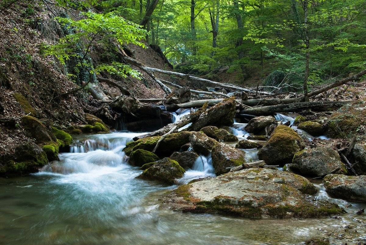 Автор: Артем , Артем