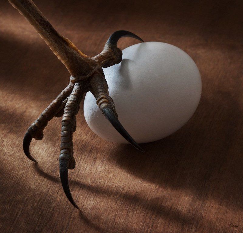 ТАК КТО ЖЕ БЫЛ РАНЬШЕ?!photo preview