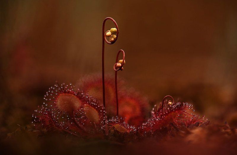 он и онаphoto preview