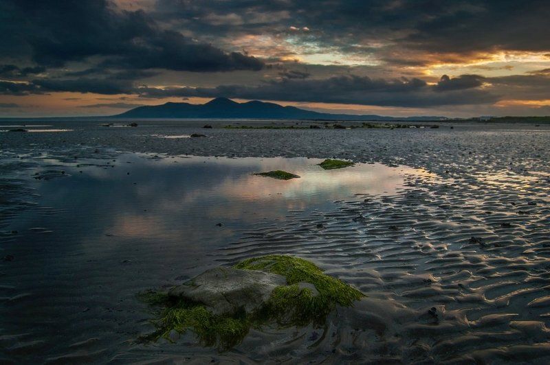 An Evening in Junephoto preview