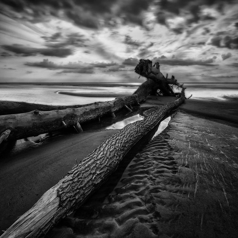 thrown by a stormphoto preview