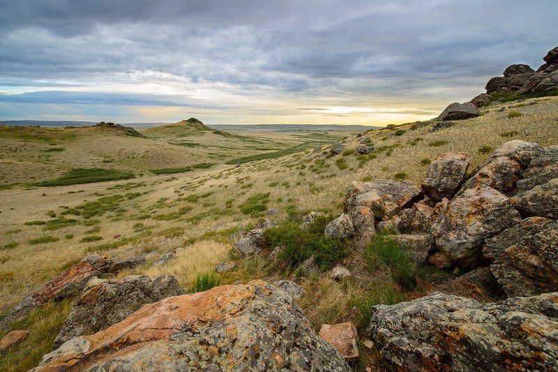 Курмаphoto preview