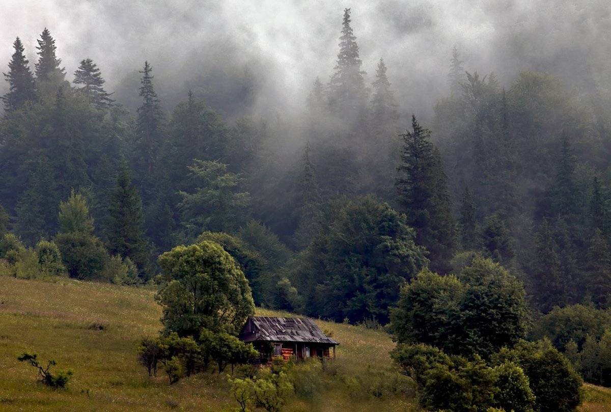 , Михаил Глаголев