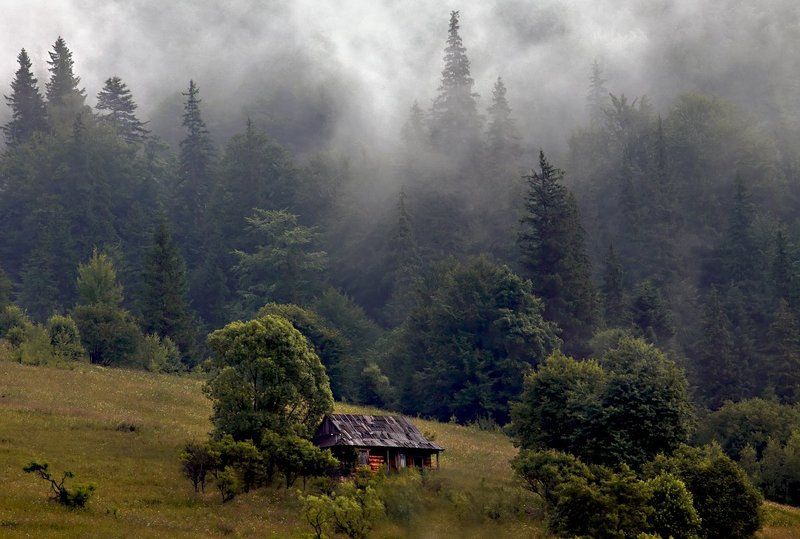 наступление...photo preview