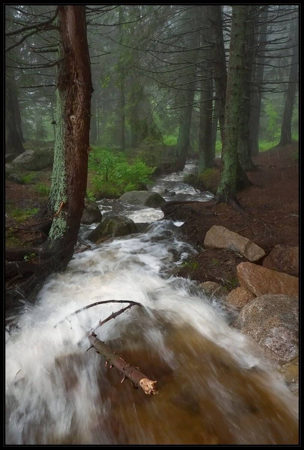 Автор: Svetoslav bulgaria, vitosha, Svetoslav