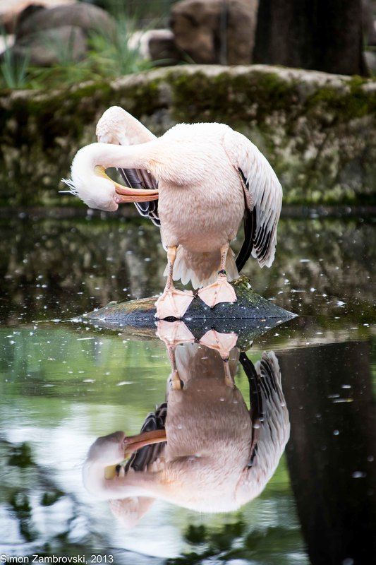 вечерний туалетphoto preview