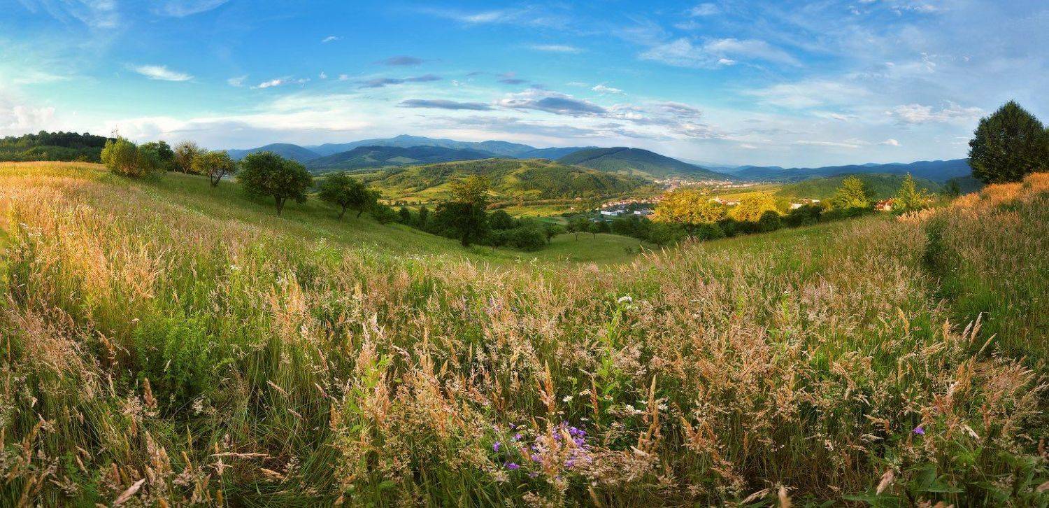 Июнь в Закарпатье. Автор: Вейзе Максим , Вейзе Максим