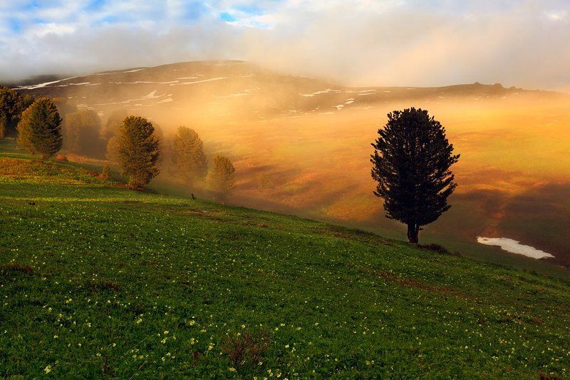 Туманный вечерphoto preview