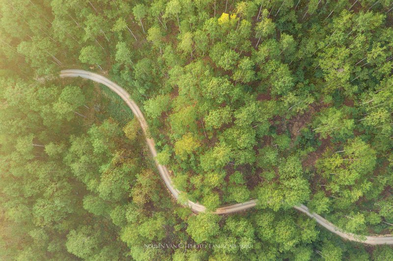 Da Lat 2020photo preview