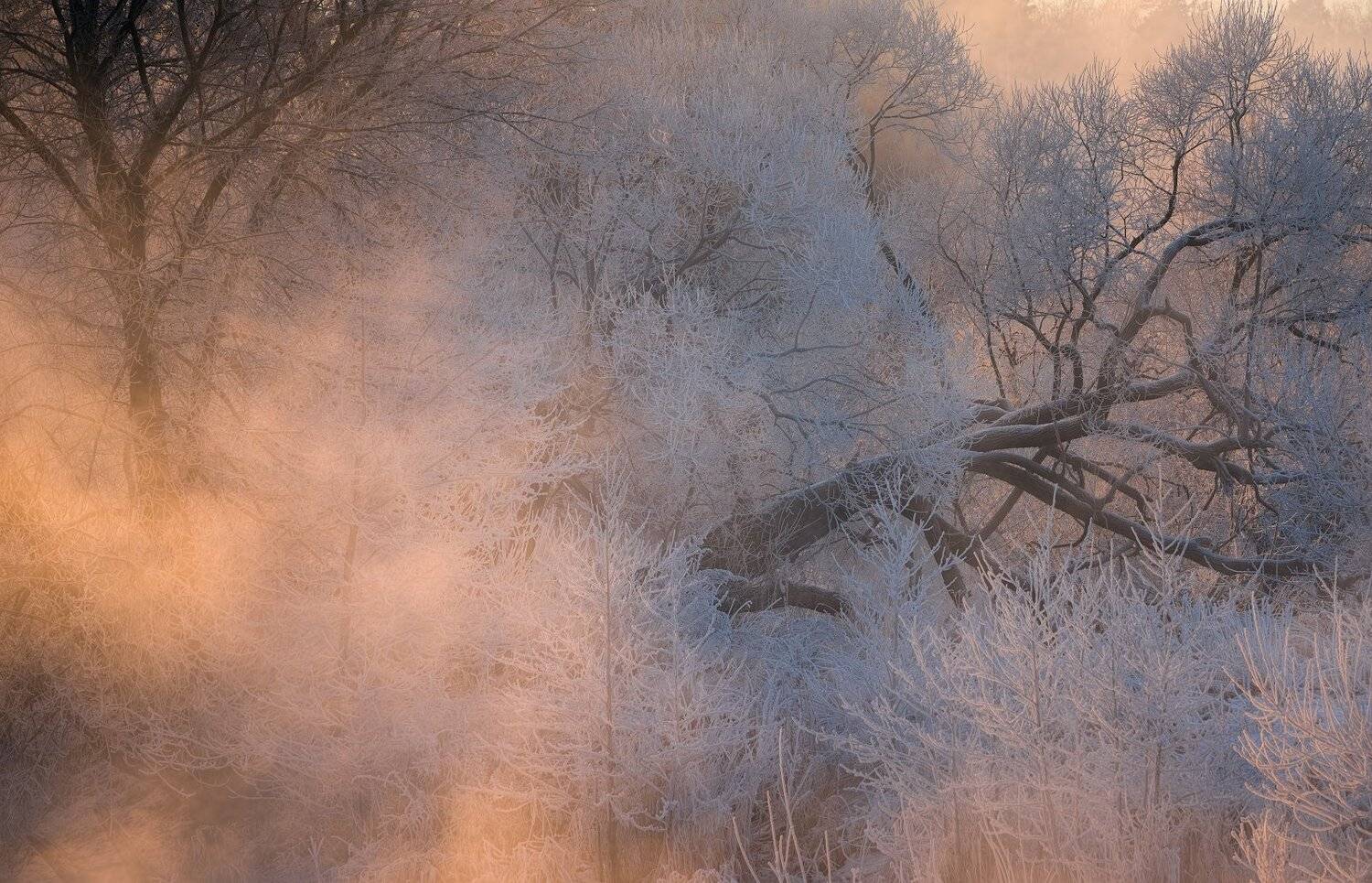 зима, рассвет, река, утро ,томилино, Виталий Левыкин