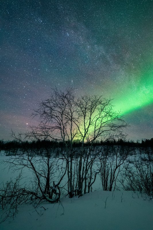 Посиялоphoto preview