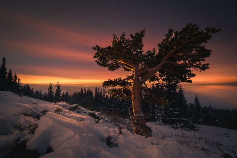 vitosha mountain, bulgaria Above the sea of cloudsphoto preview