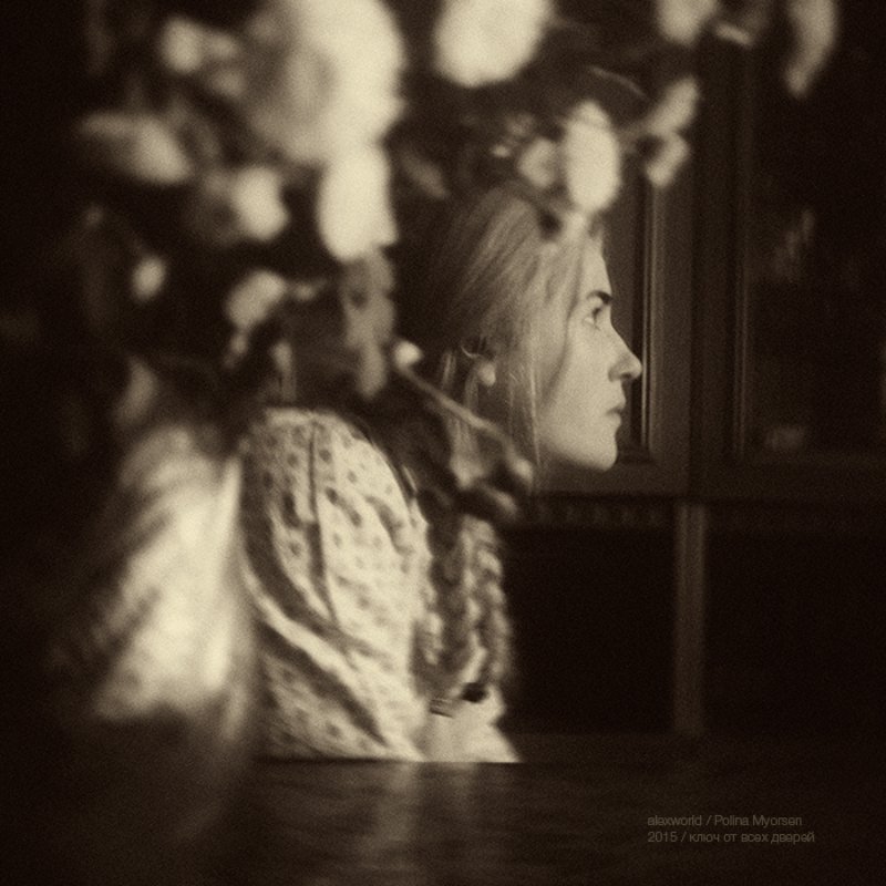 Untitledphoto preview