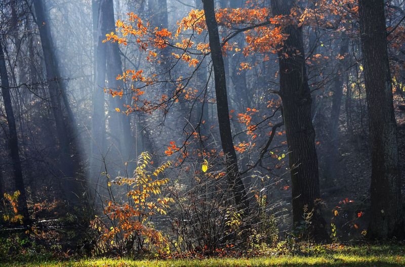 Осенняя икебанаphoto preview