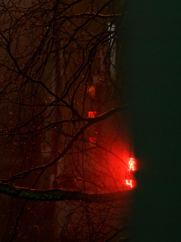 уличная фотография, северодвинск, осень, ночь, Каплиphoto preview