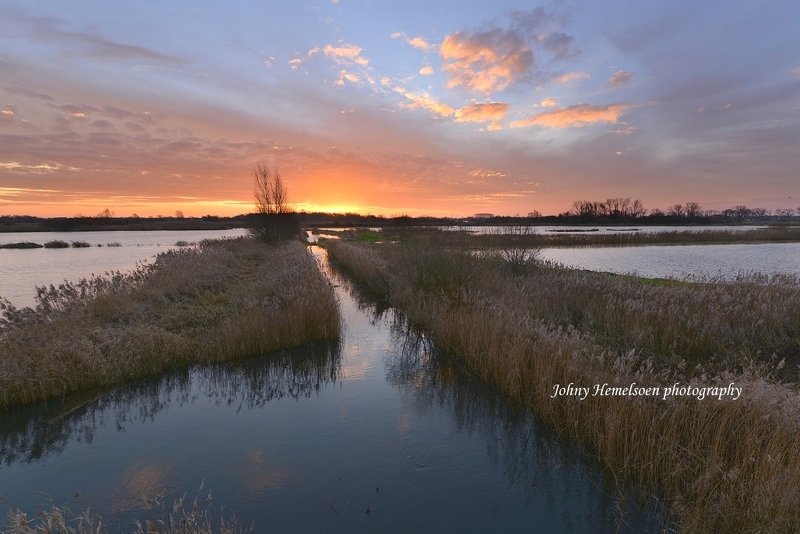 My region.photo preview